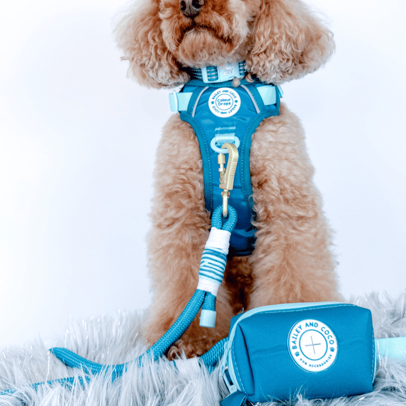 Rope Dog Lead COLOUR DROPS® - Ice Teal