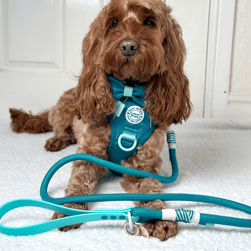 Rope Dog Lead COLOUR DROPS® - Ice Teal
