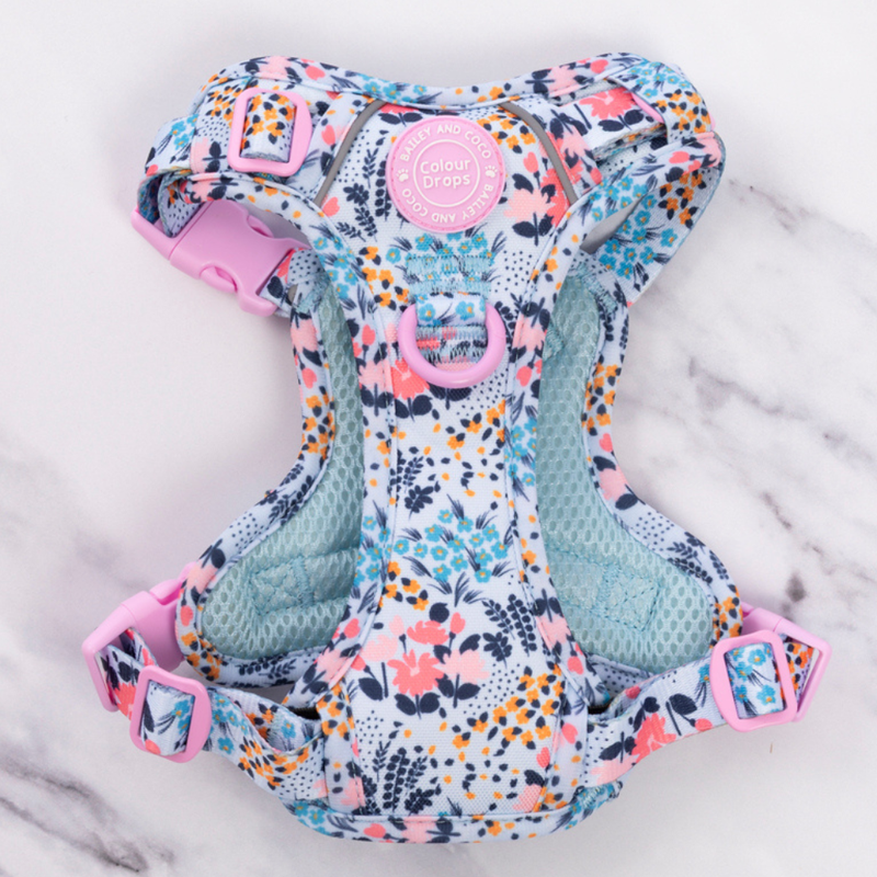 Floral Dog Harness - Colour Drops - Spring Dreams