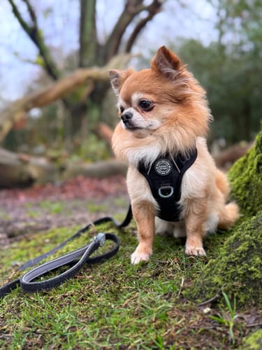 Vicky Osborne review