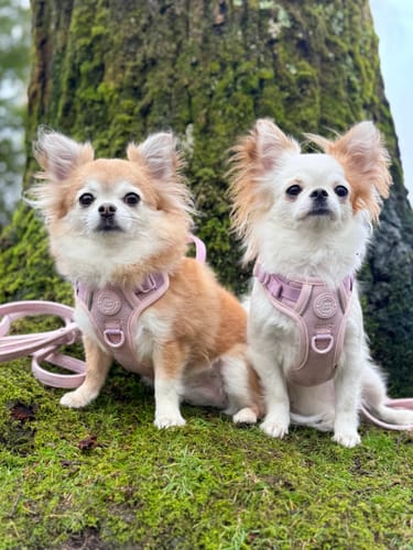 Vicky Osborne review