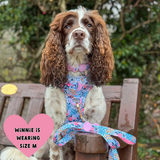 Trail & Glow Dog Harness & Lead Set - Colour Drops - Spring Dreams