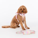 Trail & Glow Dog Lead 5ft - Colour Drops - Candy Floss
