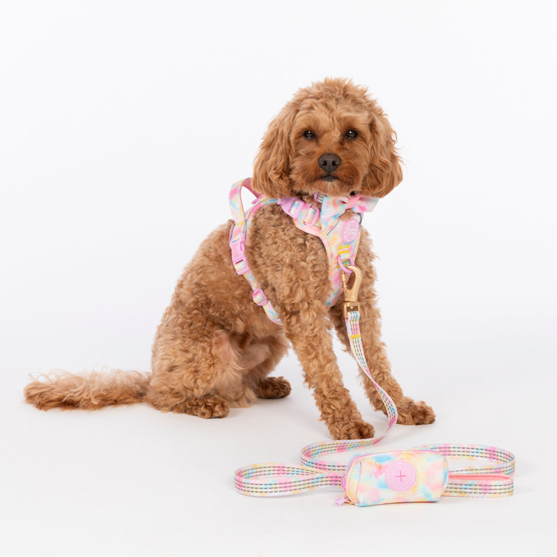Trail & Glow Dog Lead 5ft - Colour Drops - Candy Floss
