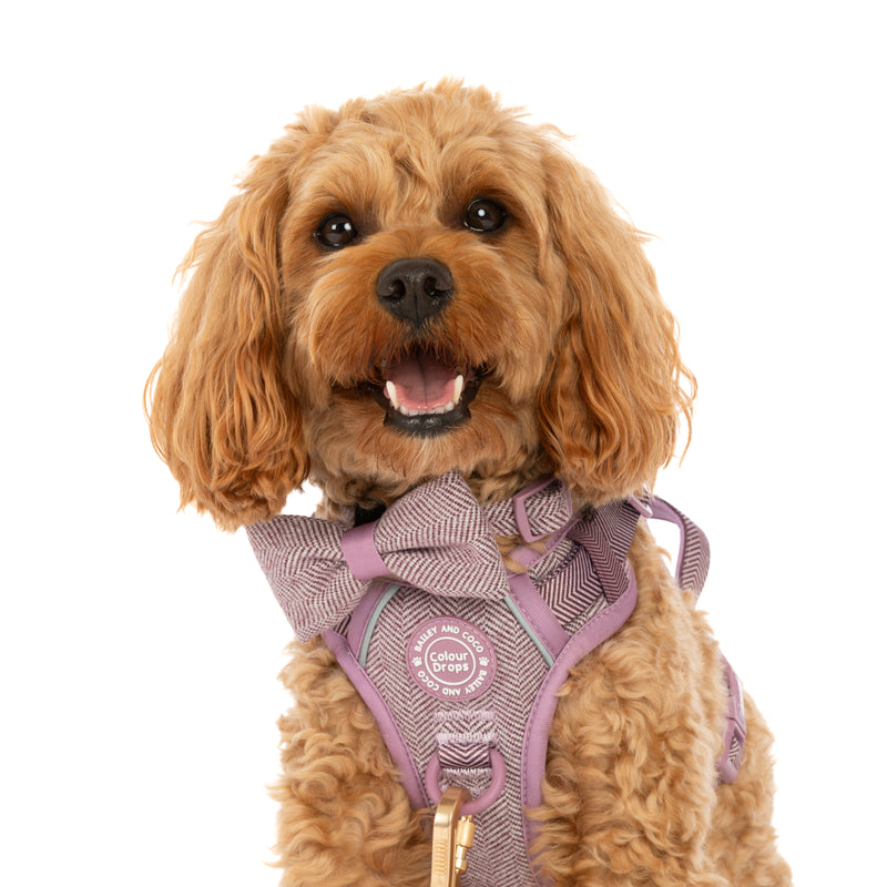 Bow Tie - Colour Drops - Plum Tweed