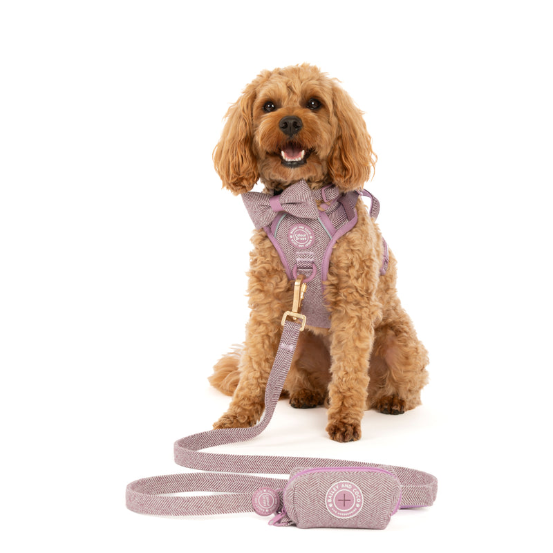 Dog Lead 5ft - Colour Drops - Plum Tweed