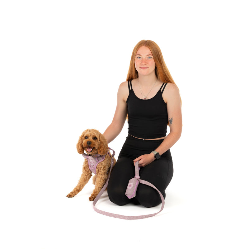 Trail & Glow Tweed Dog Harness - Colour Drops - Plum Tweed