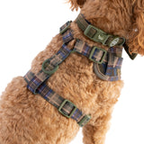 Mayfair Tweed - Colour Drops - Lightweight & Adjustable Dog Harness, Lead, Collar & Dog Walking Bag Bundle.
