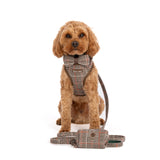 Heritage Plaid Dog Harness - Adjustable Neck Dog Harness.