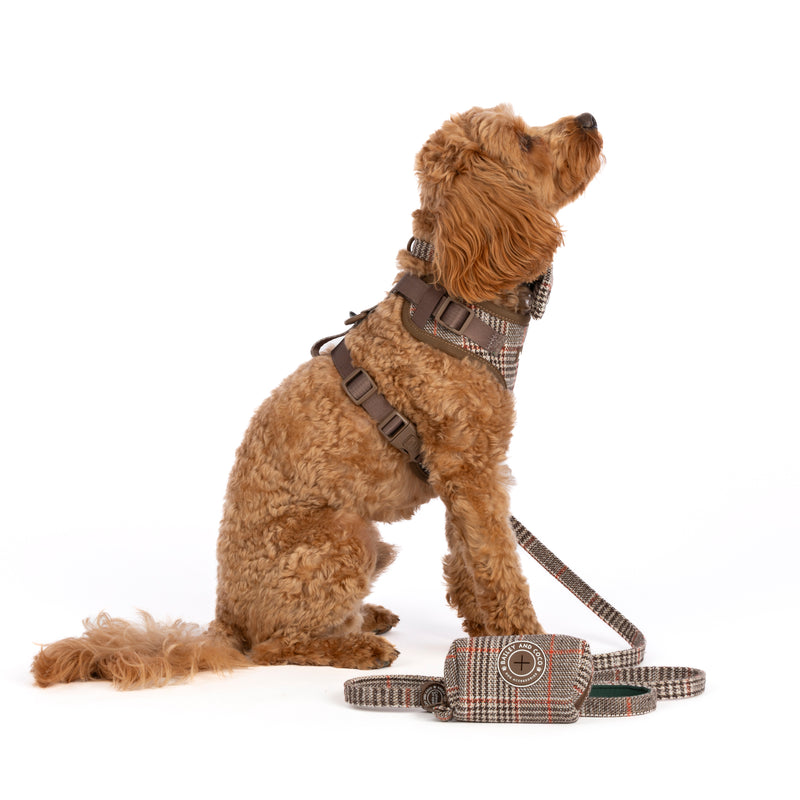 Heritage Plaid Dog Harness - Adjustable Neck Dog Harness.