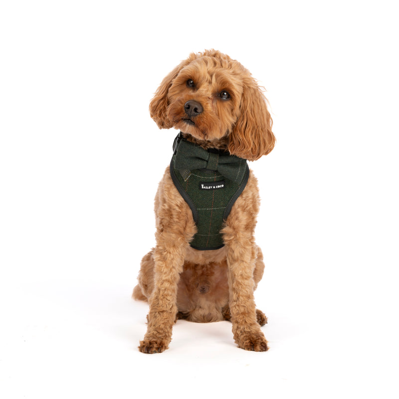 Forest Tweed Dog Harness - Adjustable Neck Dog Harness