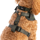 Forest Tweed Dog Harness - Adjustable Neck Dog Harness