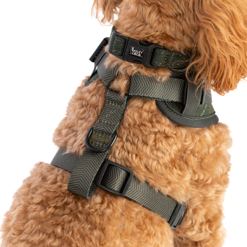 Forest Tweed Dog Harness - Adjustable Neck Dog Harness