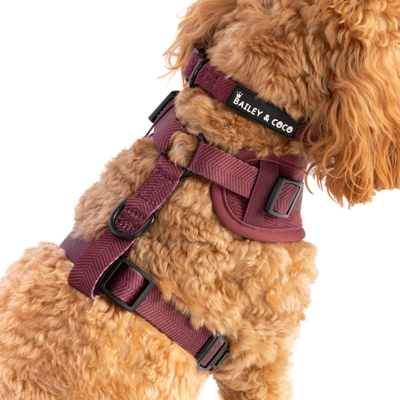 Adjustable Dog Harness Bundle Set - Mulberry Tweed.