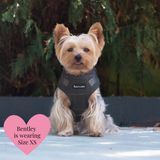 Adjustable Dog Harness Bundle Set - Forest Tweed