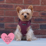 Mulberry Tweed - Colour Drops - Lightweight & Adjustable Dog Harness, Lead, Collar & Dog Walking Bag Bundle
