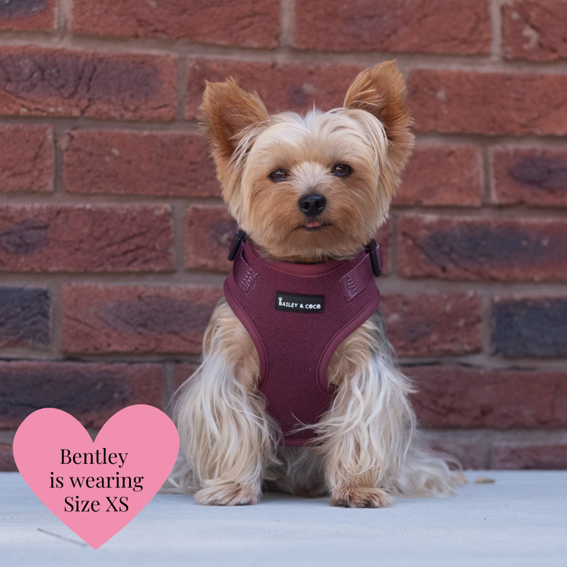 Mulberry Tweed - Colour Drops - Lightweight & Adjustable Dog Harness, Lead, Collar & Dog Walking Bag Bundle