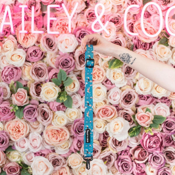 A Dog's Tail *STRAP ONLY* for Dog Walking Bags - Bailey and Coco (UK)