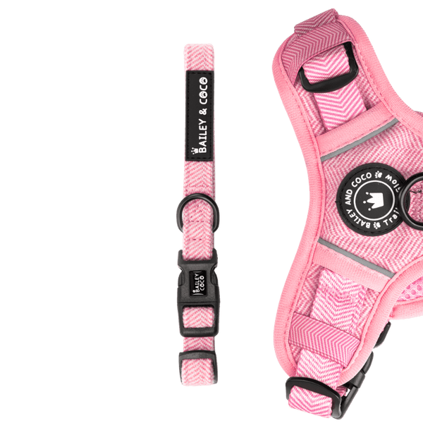Adjustable Collar - Bubblegum Pink Tweed - Bailey and Coco (UK)