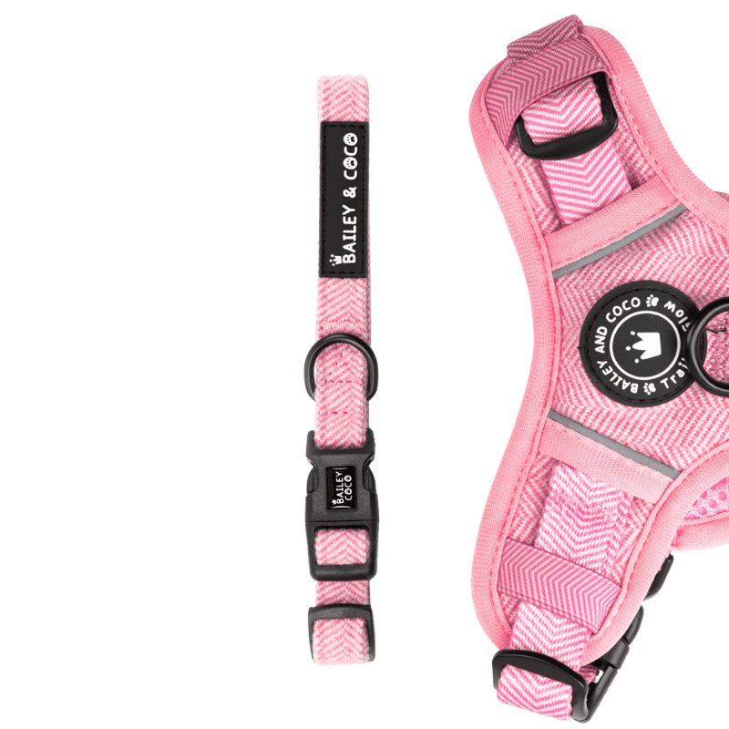 Adjustable Collar - Bubblegum Pink Tweed - Bailey and Coco (UK)