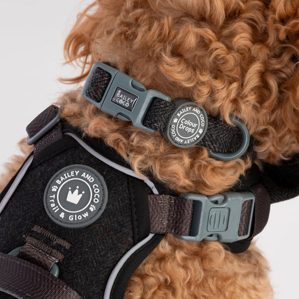 Adjustable Collar - Colour Drops - Charcoal Tweed - Bailey and Coco (UK)