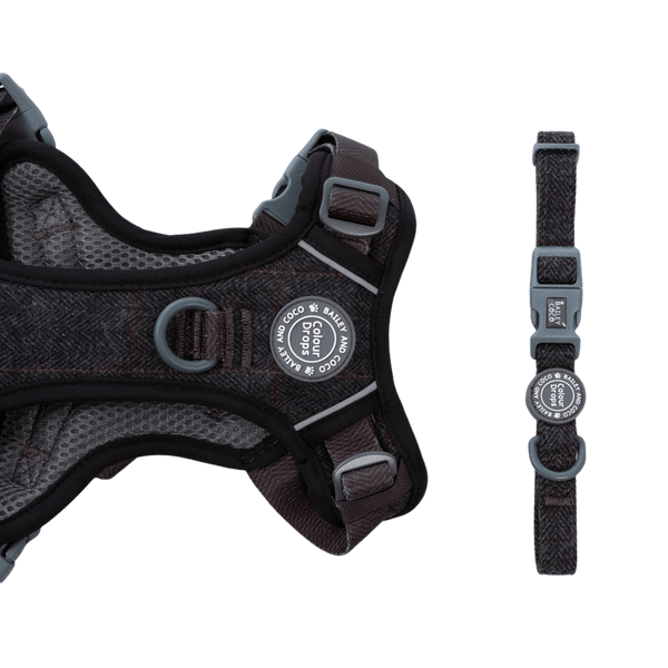 Adjustable Collar - Colour Drops - Charcoal Tweed - Bailey and Coco (UK)