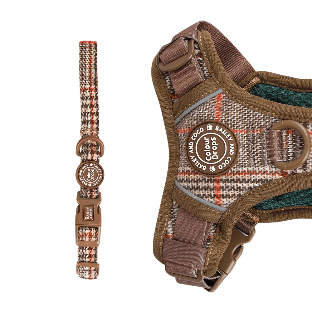 Heritage Plaid matching dog collar close up showing classic tartan pattern
