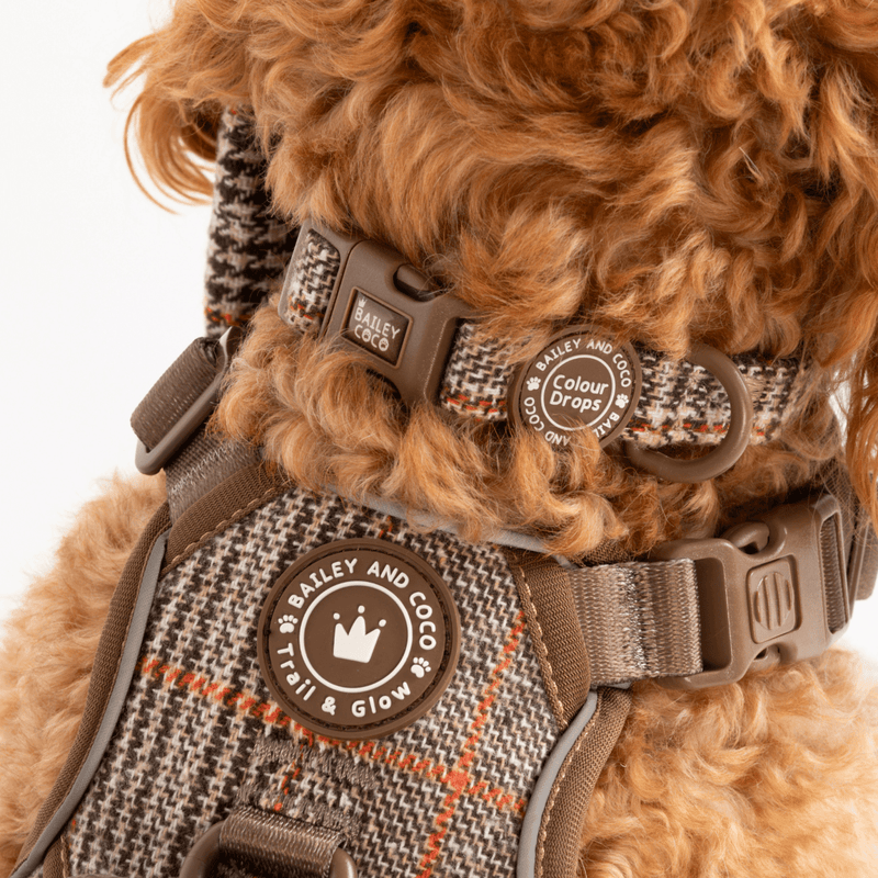 Adjustable Collar - Colour Drops - Heritage Plaid - Bailey and Coco (UK)