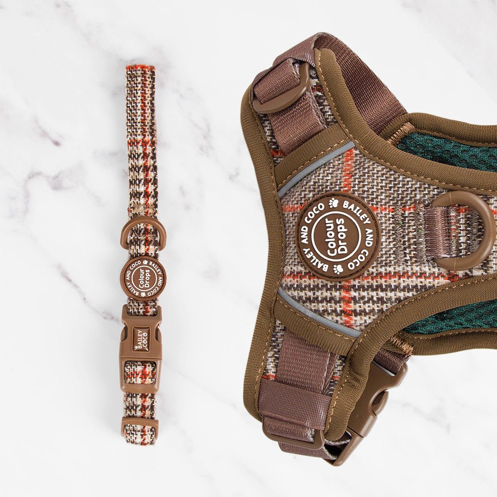 Adjustable Collar - Colour Drops - Heritage Plaid - Bailey and Coco (UK)
