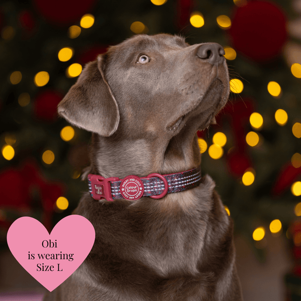 Adjustable Collar - Colour Drops - Jingle Berry - Bailey and Coco (UK)