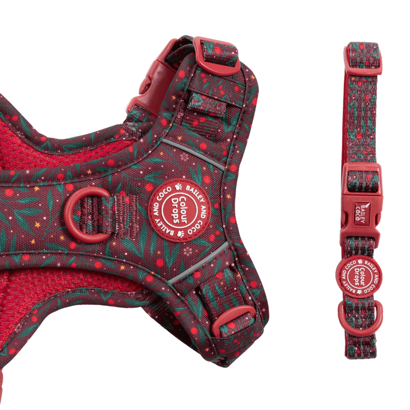 Adjustable Collar - Colour Drops - Jingle Berry - Bailey and Coco (UK)