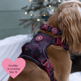 Adjustable Collar - Colour Drops - Jingle Berry - Bailey and Coco (UK)