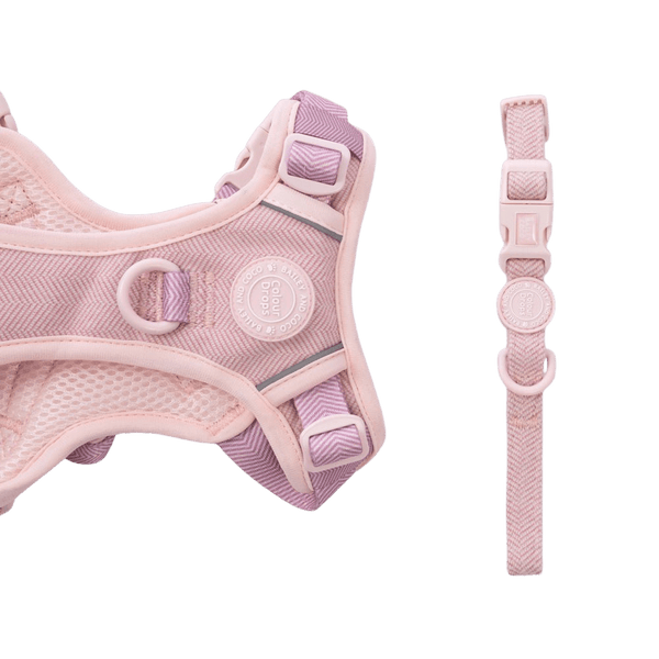 Adjustable Collar - Colour Drops - Lavender Tweed - Bailey and Coco (UK)