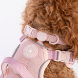 Adjustable Collar - Colour Drops - Lavender Tweed - Bailey and Coco (UK)