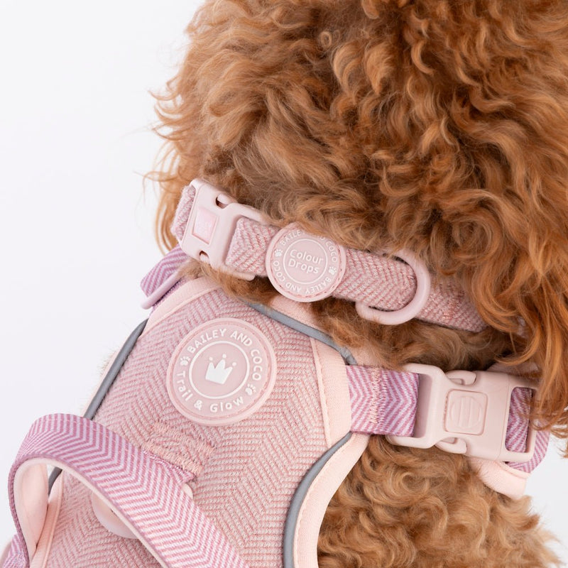 Adjustable Collar - Colour Drops - Lavender Tweed - Bailey and Coco (UK)