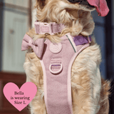 Adjustable Collar - Colour Drops - Lavender Tweed - Bailey and Coco (UK)