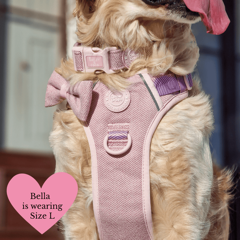Adjustable Collar - Colour Drops - Lavender Tweed - Bailey and Coco (UK)