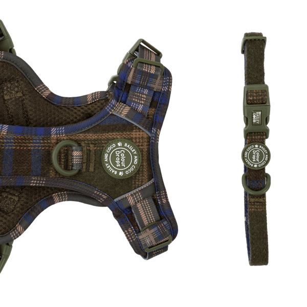 Adjustable Collar - Colour Drops - Mayfair Tweed - Bailey and Coco (UK)