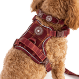 Adjustable Collar - Colour Drops - Mulberry Plaid - Bailey and Coco (UK)