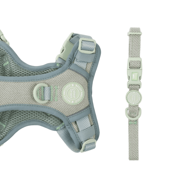 Adjustable Collar - Colour Drops - Sage Tweed - Bailey and Coco (UK)