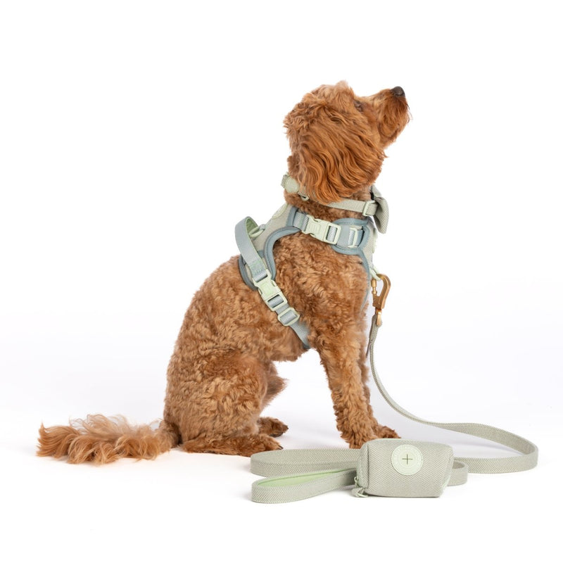 Adjustable Collar - Colour Drops - Sage Tweed - Bailey and Coco (UK)