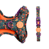 Adjustable Collar - Colour Drops - Spellbound Autumn - Bailey and Coco (UK)