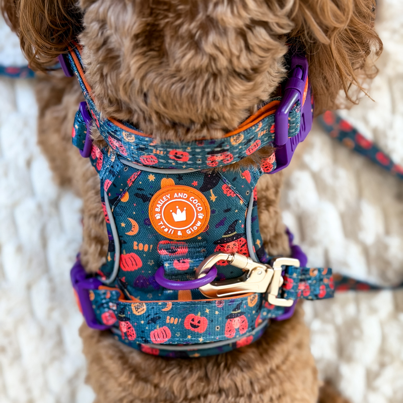 Adjustable Collar - Colour Drops - Spellbound Autumn - Bailey and Coco (UK)