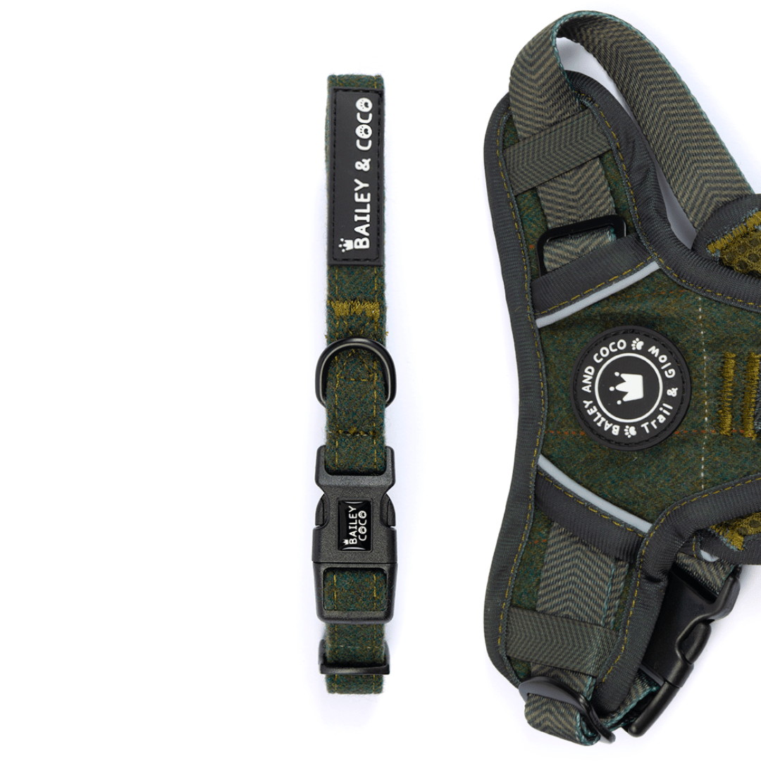 Adjustable Collar - Forest Tweed - Bailey and Coco (UK)