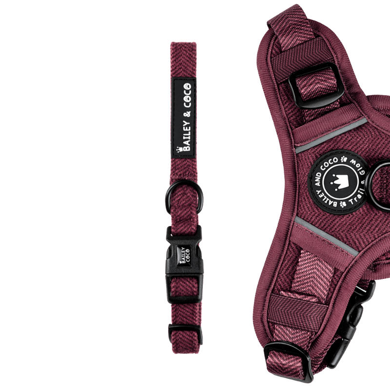 Adjustable Collar - Mulberry Tweed - Bailey and Coco (UK)