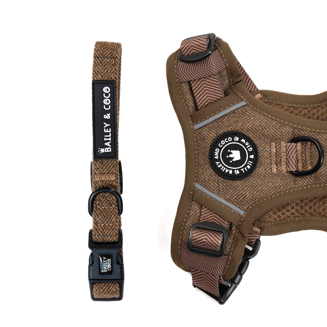 Adjustable Collar - Oxford Tweed - Bailey and Coco (UK)