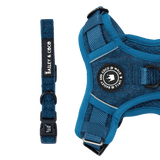 Adjustable Collar - Sapphire Tweed - Bailey and Coco (UK)