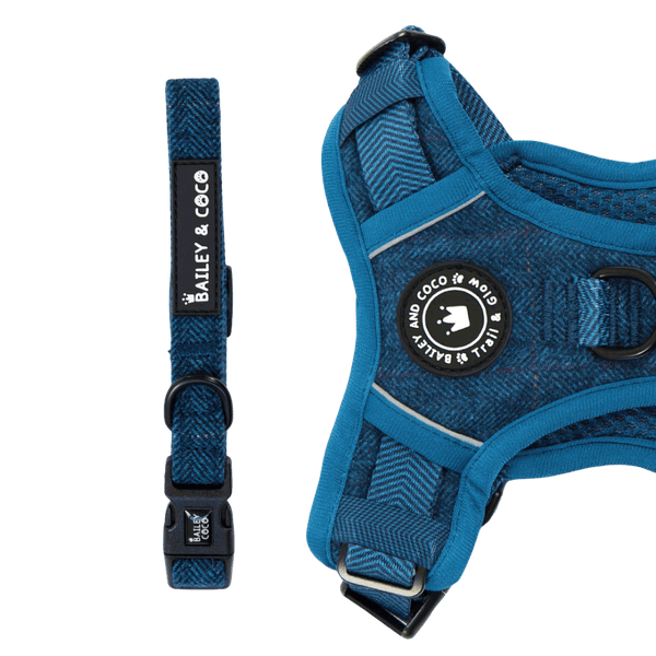Adjustable Collar - Sapphire Tweed - Bailey and Coco (UK)