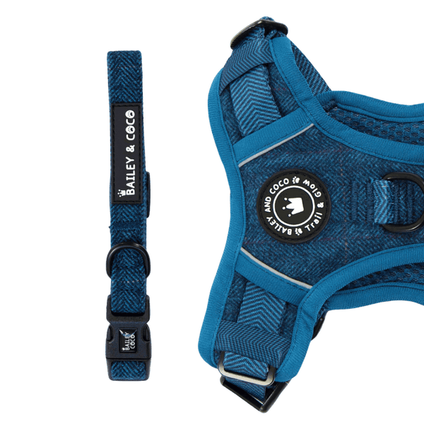 Adjustable Collar - Sapphire Tweed - Bailey and Coco (UK)