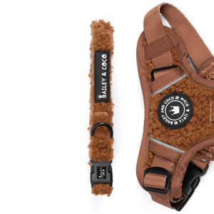 Adjustable Collar - Teddy Bear - Bailey and Coco (UK)